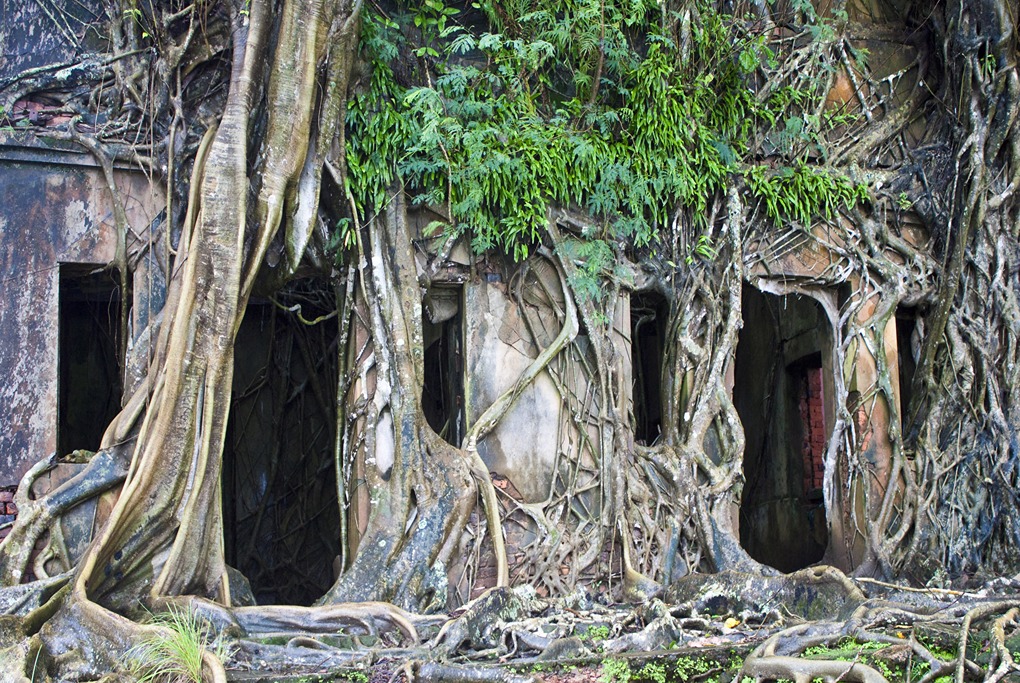 Ross Island – Netaji Subhash Chandra Bose Island