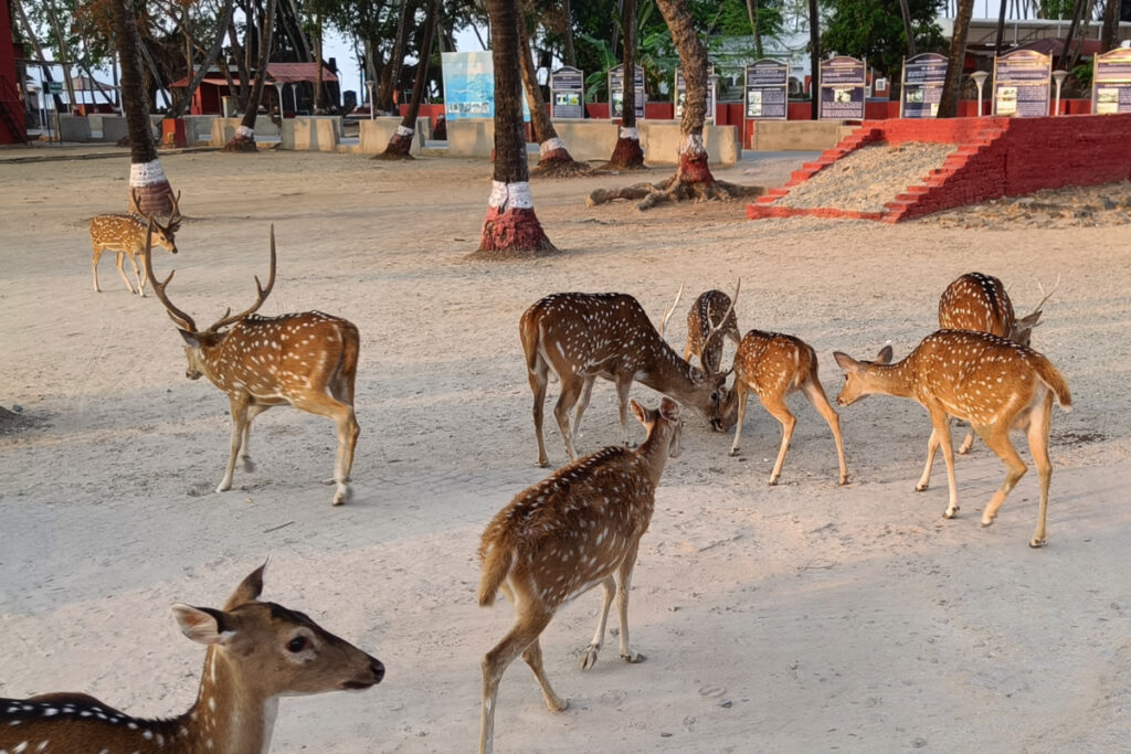 Ross Island – Netaji Subhash Chandra Bose Island