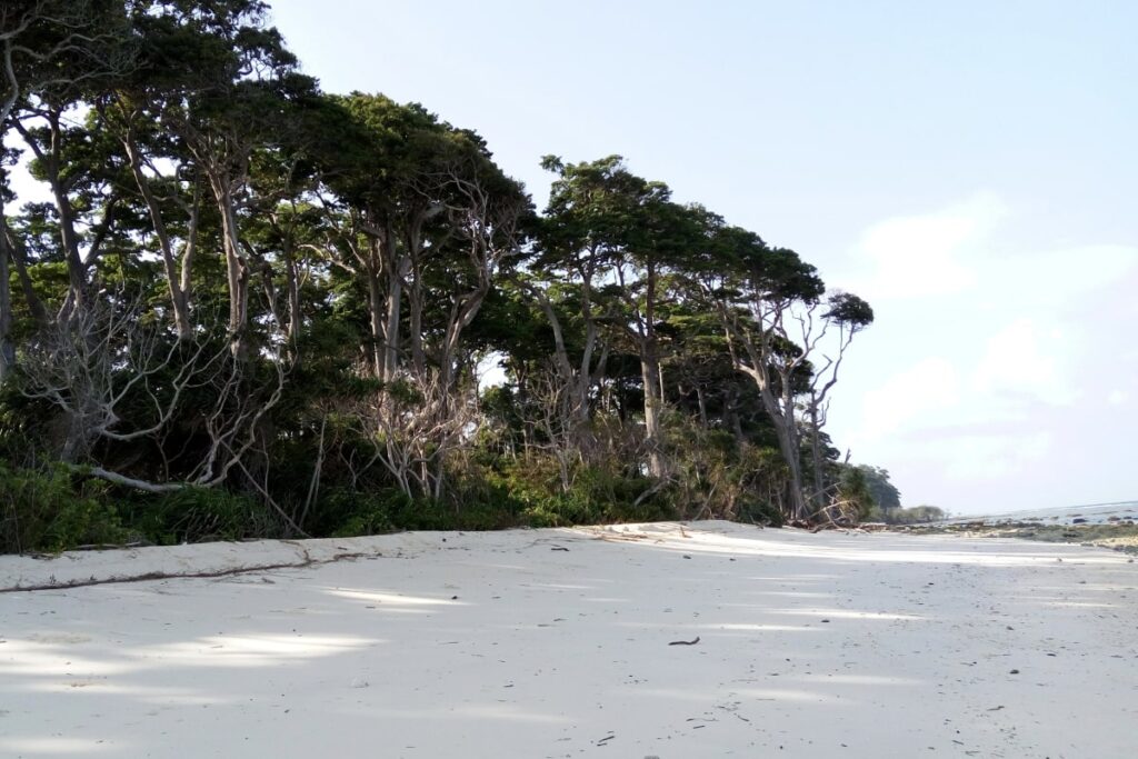 Laxmanpur Beach