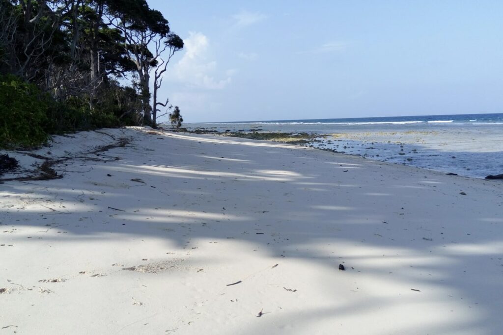 Laxmanpur Beach