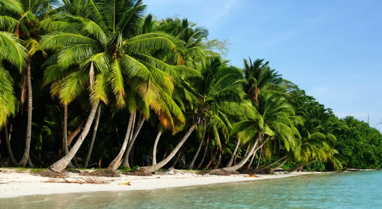 Vijay Nagar Beach