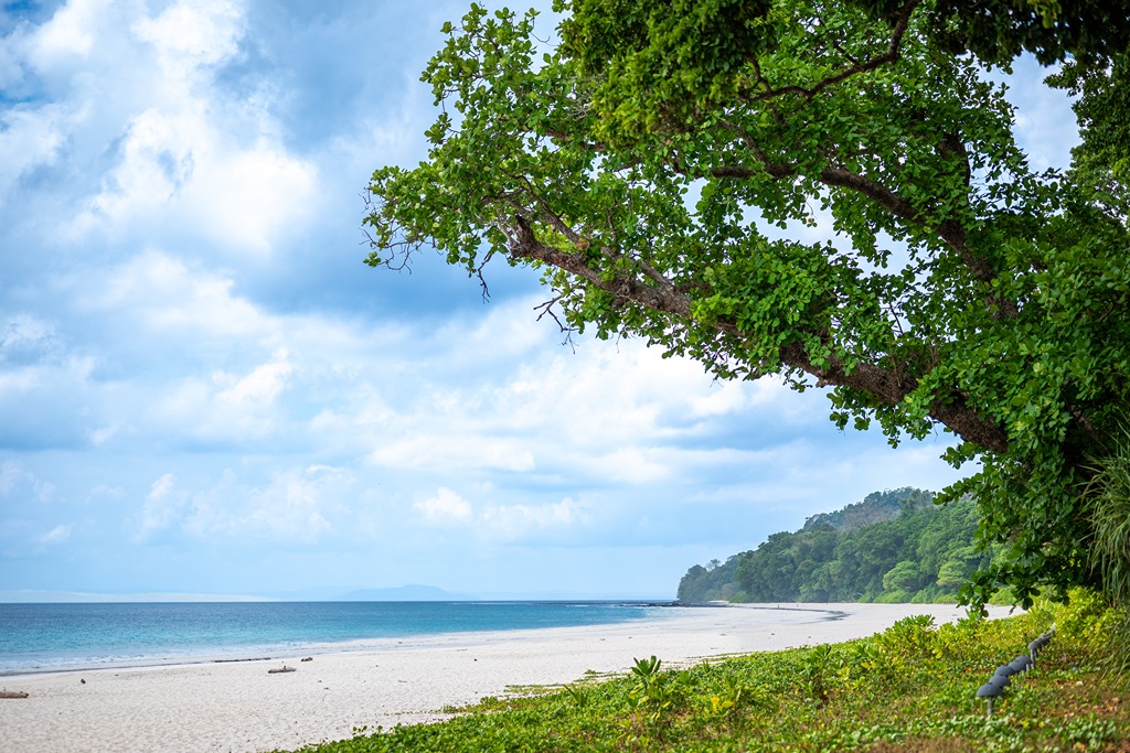 Andaman Family Packages @13,582/-pp