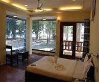 Dolphin Resort Or Similar Hotel
